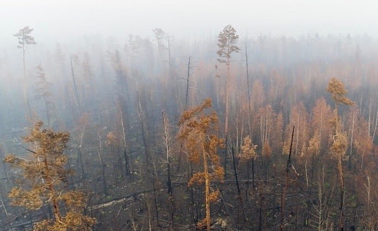 Unos 400 incendios siguen activos en Siberia